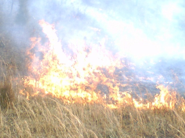 Brush Fire, Progress Way 2005